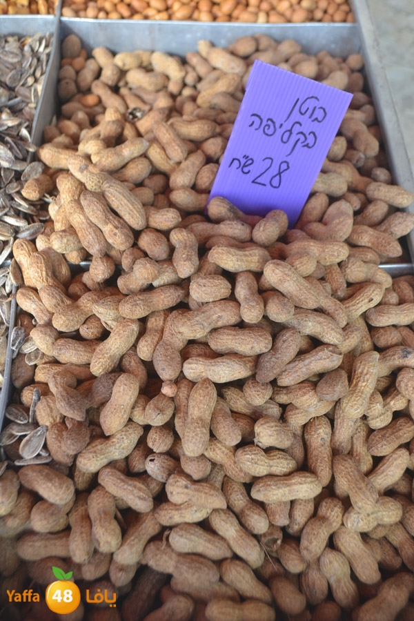 mokasaratshadyjamal (16).JPG